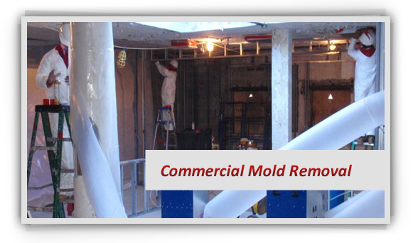 commercial mold
